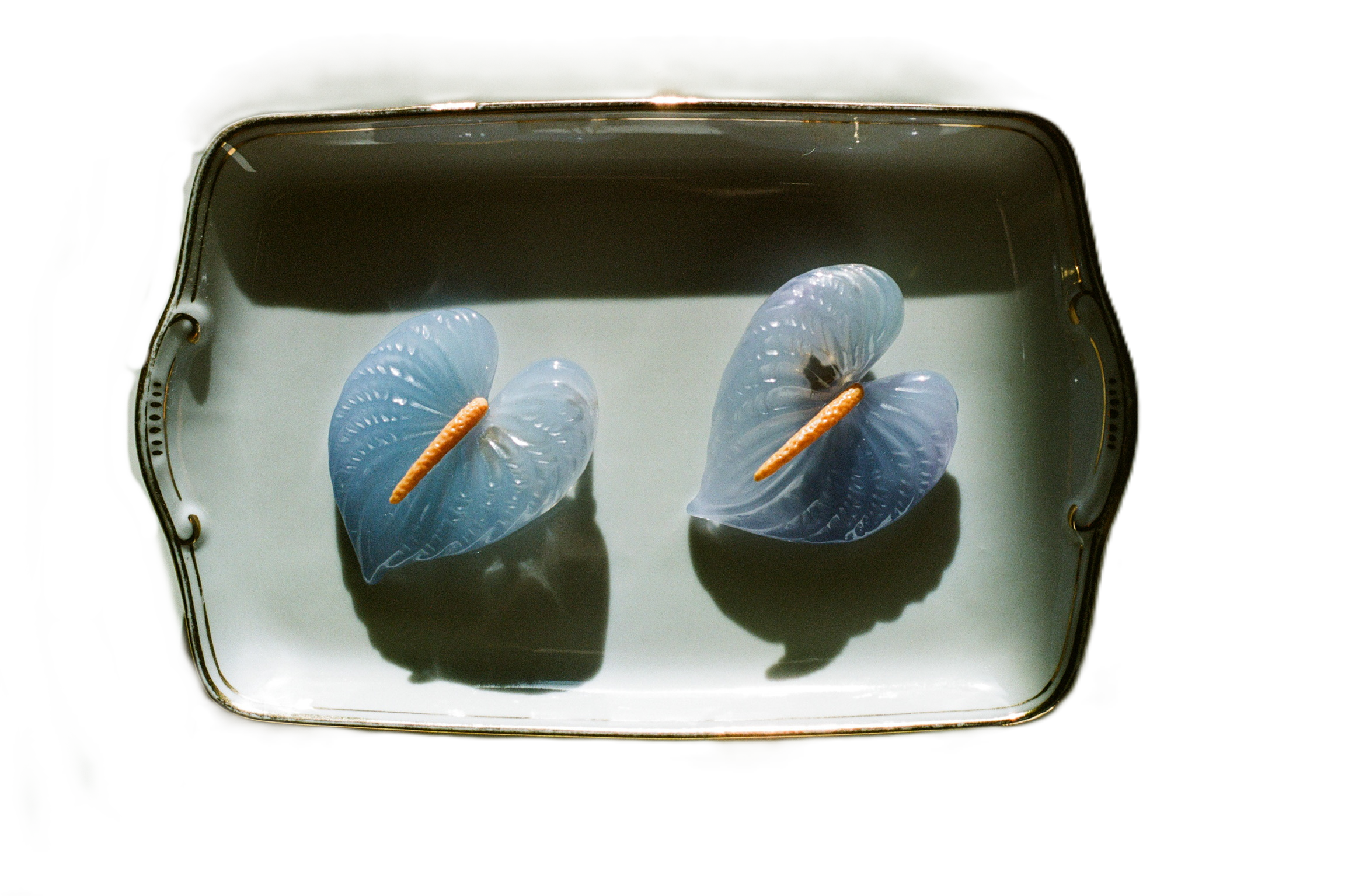 BOUCLES D'OREILLES FLAMINGO - Bleu